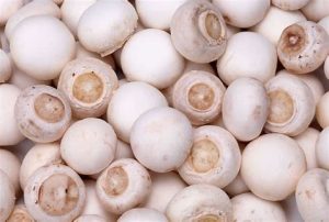 双孢菇的功效与作用,双孢菇的营养价值,双孢菇