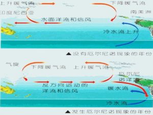 厄尔尼诺现象和拉尼娜现象的区别是什么？