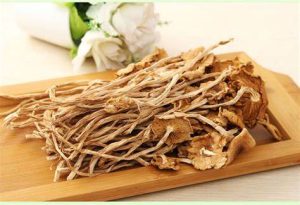 茶树菇的功效与作用,茶树菇的营养价值,茶树菇