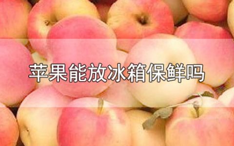 冷库苹果用什么保鲜剂（冷库苹果用什么保鲜剂好）