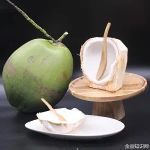 椰子皮（椰子皮可以做什么用途）