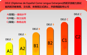 德语B2水平需要学多久？