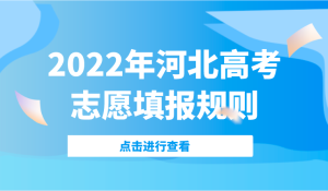 河北新高考志愿填报规则