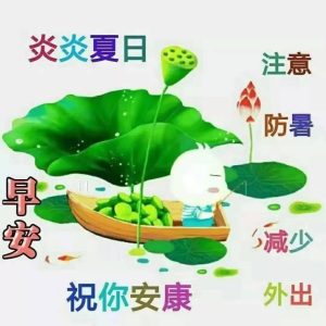 天气炎热问候的暖心句子